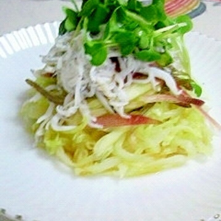 蒸したキャベツに 茗荷としらす レシピ 作り方 By 2727椿 楽天レシピ 蒸したキャベツに 茗荷としらす レシピ 作り方 By 2727椿 楽天レシピ